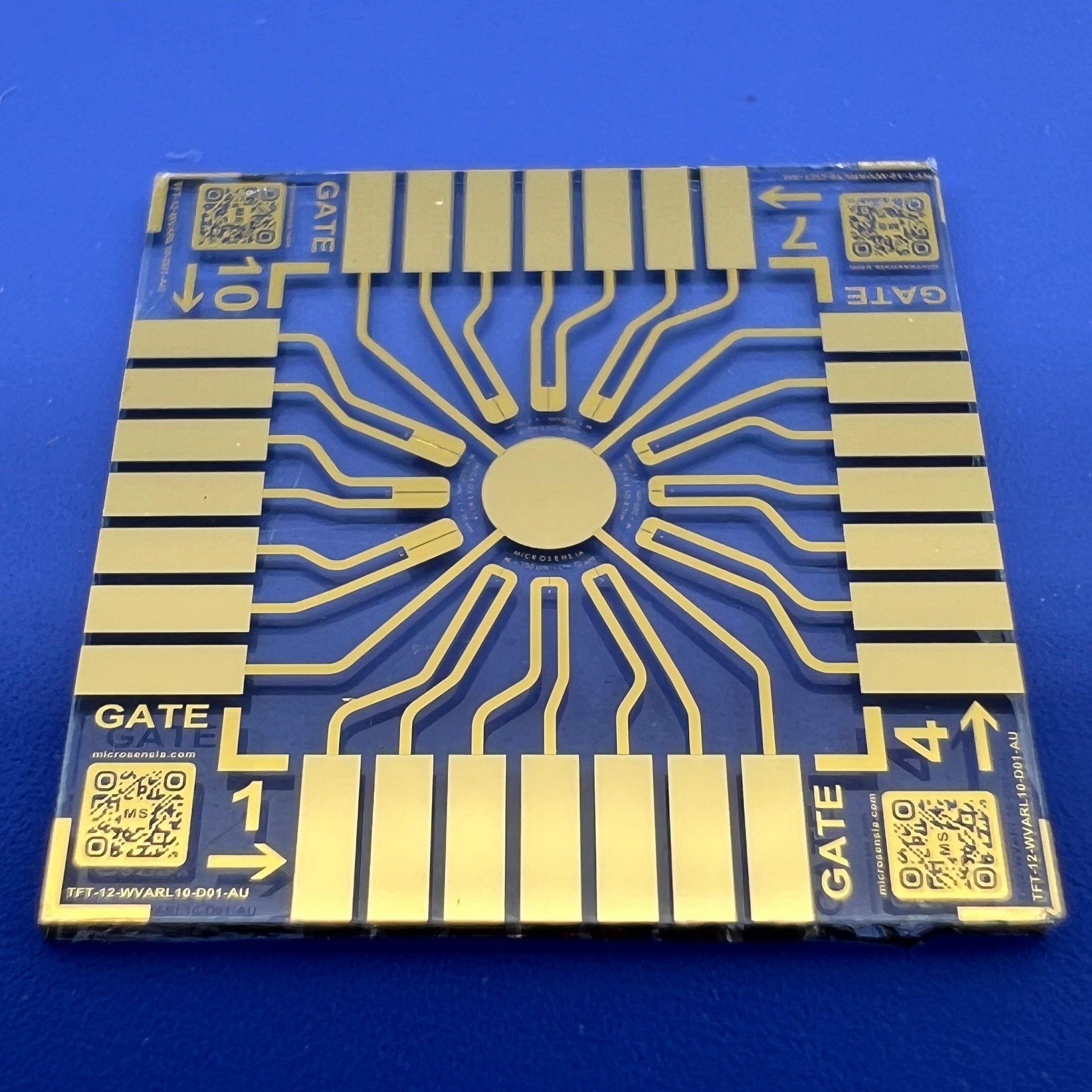 Organic electrochemical transistors (OECTs)