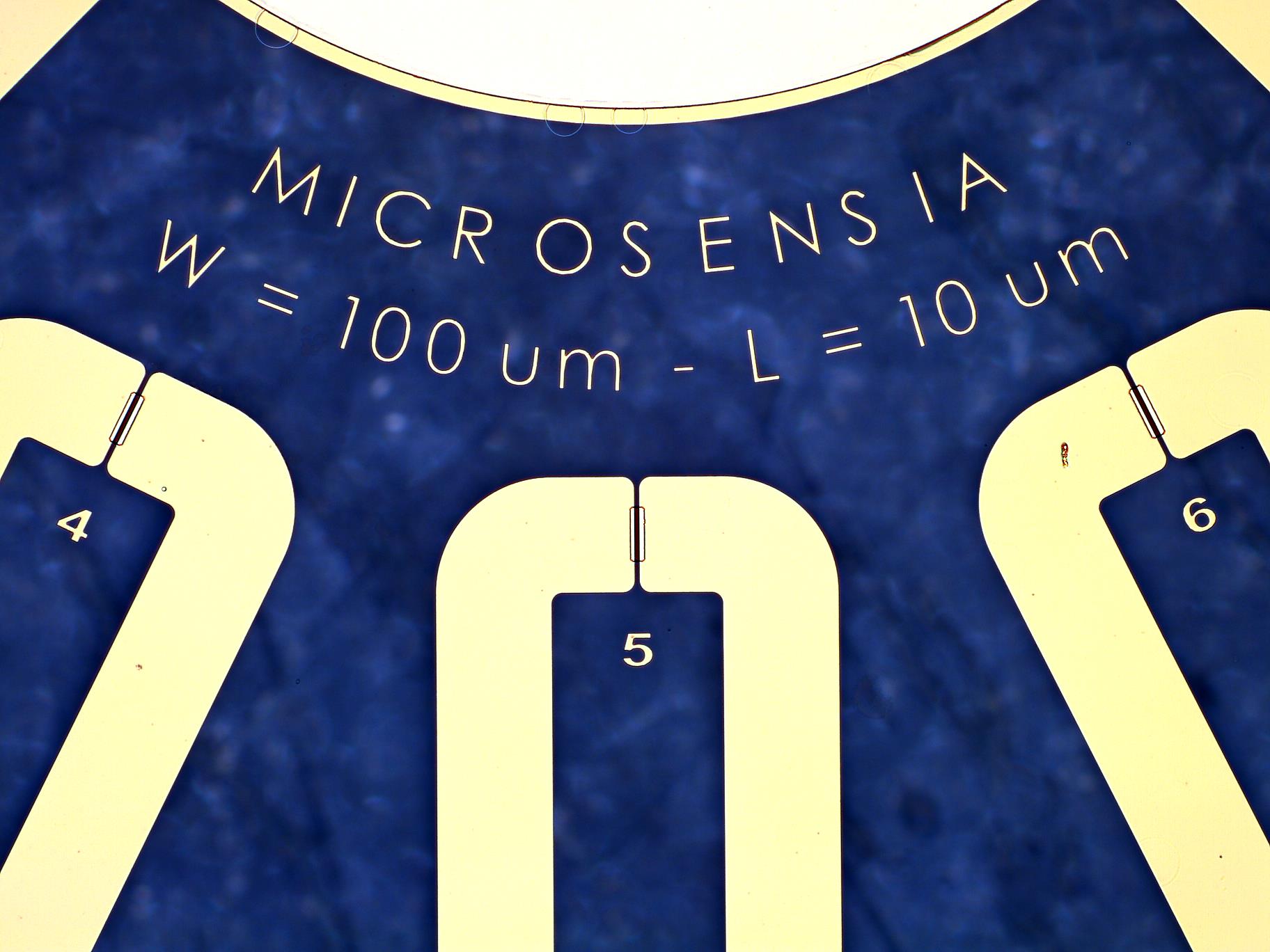 Patternable OECT – Fixed W / Fixed L - 100/10um