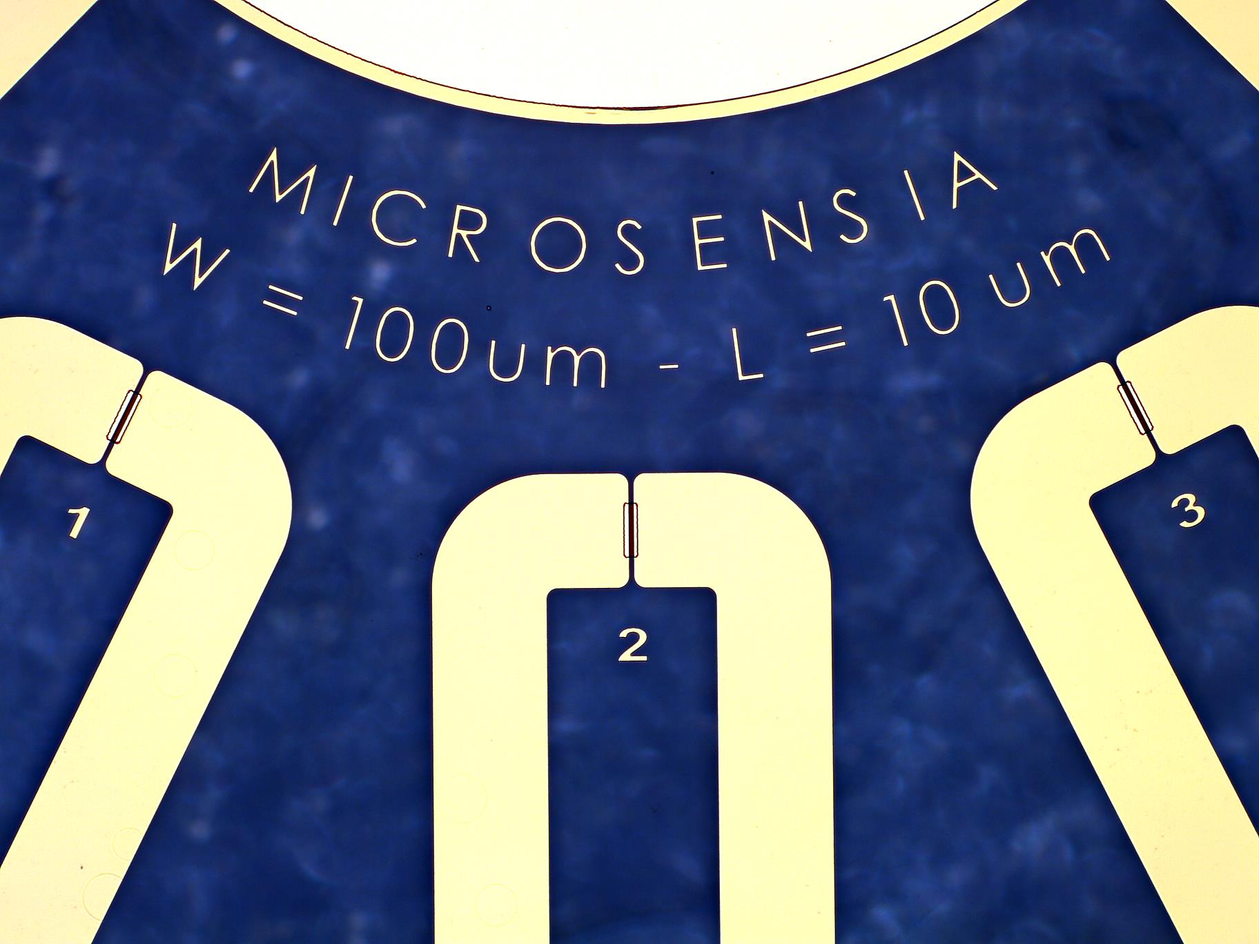 Patternable OECT – Fixed W / Variable L