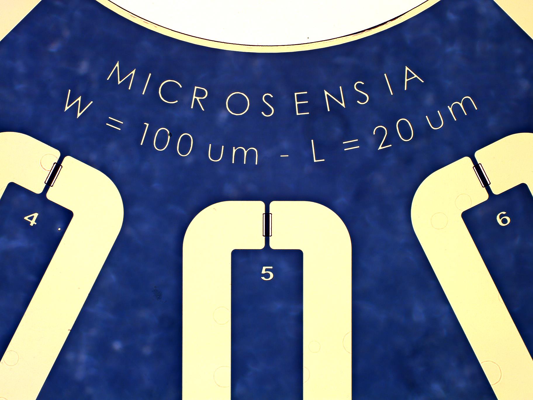 Patternable OECT – Fixed W / Variable L