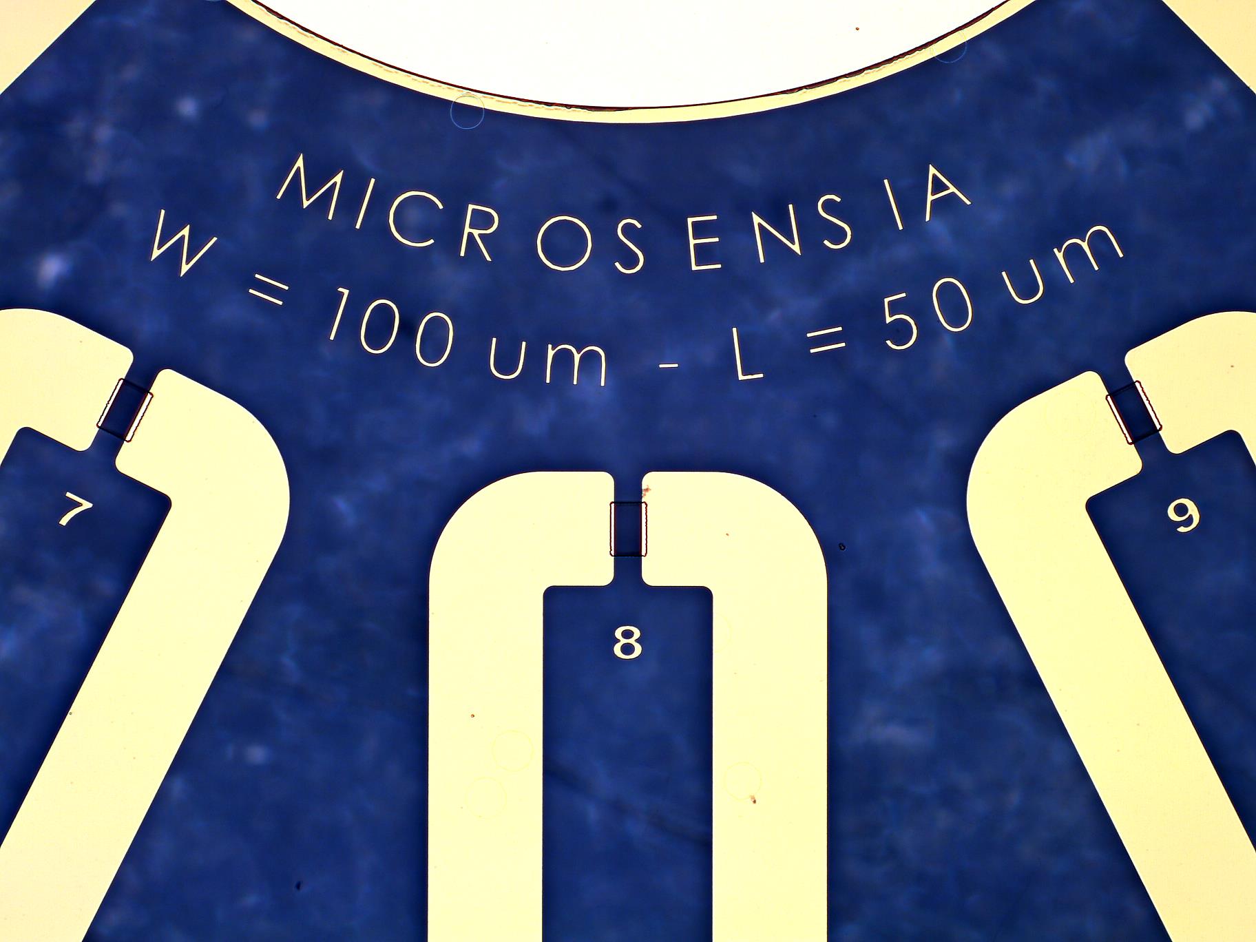 Patternable OECT – Fixed W / Variable L