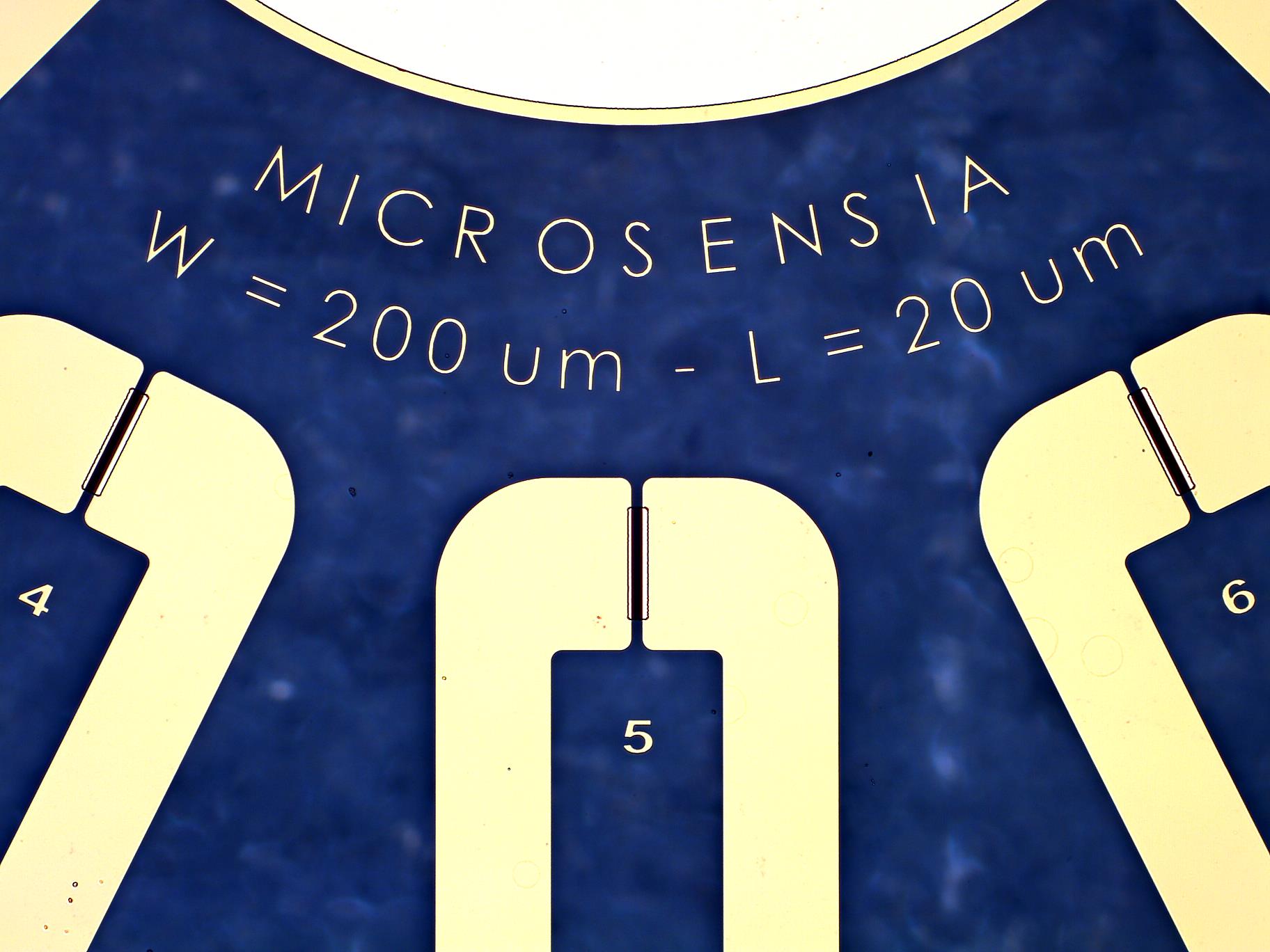 Patternable OECT – Variable W / Variable L