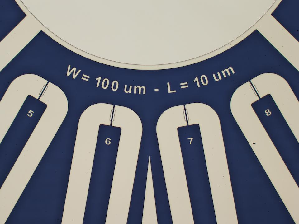 OECT, W = 100 um, L = 10 um